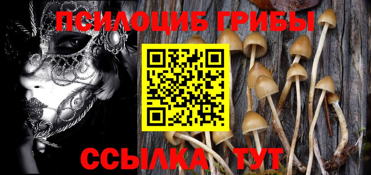 Волгодонск  Галлюциногенные грибы Psilocybe  наркота  Вход с VPN 